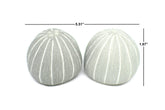 Grey Pebble Salt and Pepper Shakers